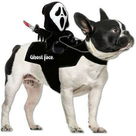 Ghost Face Pet Rider Vest