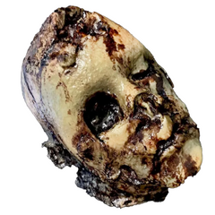 Decomposed Don Fake Human Head Prop