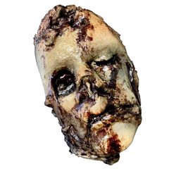 Decomposed Don Fake Human Head Prop