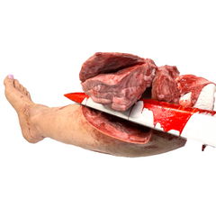 Severed Female Left Leg w/ Exposed Resin Bone