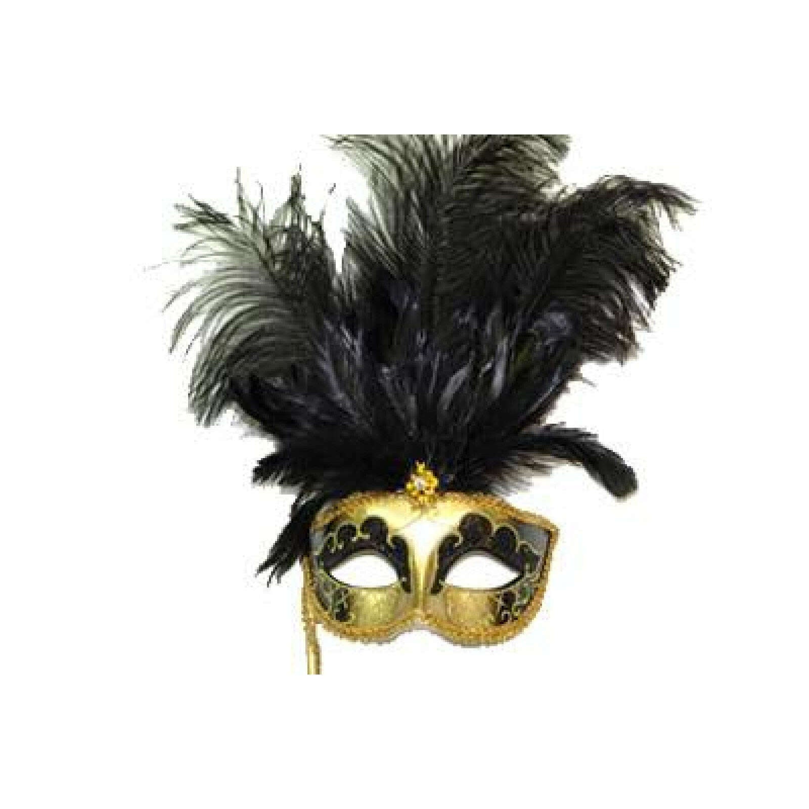 Holding Stick Feathered Venetian Mask