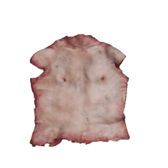 Human Torso Skin Prop