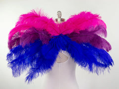Bi Pride Feather Wings