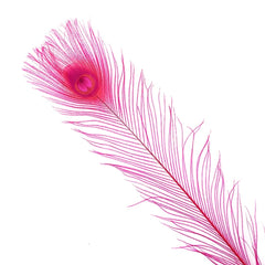Bleach & Dyed Hot Pink Peacock Feathers- 10 Pieces