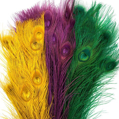 Peacock Tail Eyes Bleached Mardigras Feathers