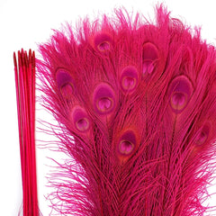 Bleach & Dyed Hot Pink Peacock Feathers- 10 Pieces