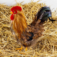 Rooster Farmhouse Prop Decoration