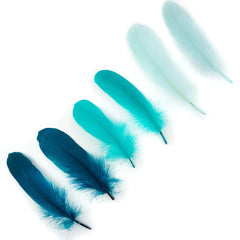 Loose Goose Pallets Feather Mix Dyed Sea Green