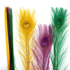 Peacock Tail Eyes Bleached Mardigras Feathers