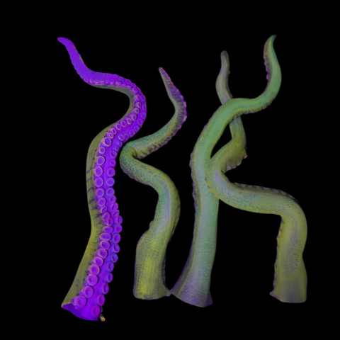 2' Octopus Posable Tentacle Blacklight Prop – AbracadabraNYC