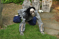 5' Skeleton Creeping Dead Prop