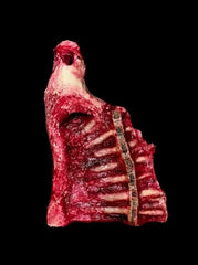 Beef Hind Quarter Interior Side Prop