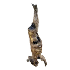 Hanging Rotted Rabbit Prop
