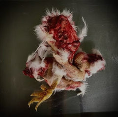 3 Piece Chicken Cuts Prop
