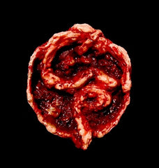 Bowl of Entrails Prop