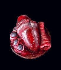 Beef Heart and Eyes Prop