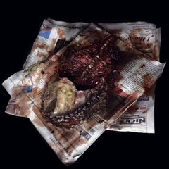 Rotting Fish Prop on Paper