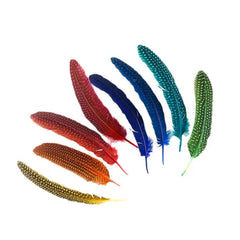 Assorted Guinea Rounds Feather Pack