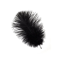 Ostrich Feather Drab