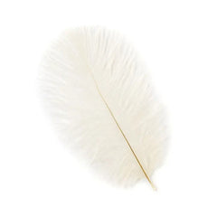 Ostrich Feather Drab