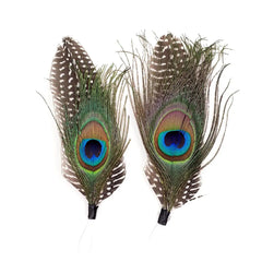 Guinea Peacock Feather Picks (2 Pack)