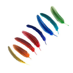 Assorted Guinea Rounds Feather Pack