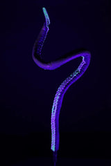 5' Kraken Posable Tentacle Blacklight Prop