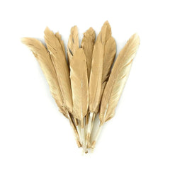 Gold Gilded Duck Cosse Feathers