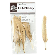 Gold Gilded Duck Cosse Feathers
