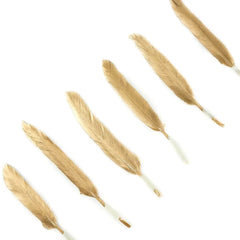 Gold Gilded Duck Cosse Feathers