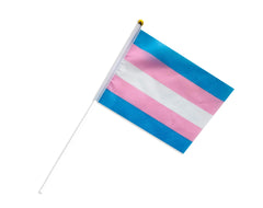 Small Trans Pride Flag
