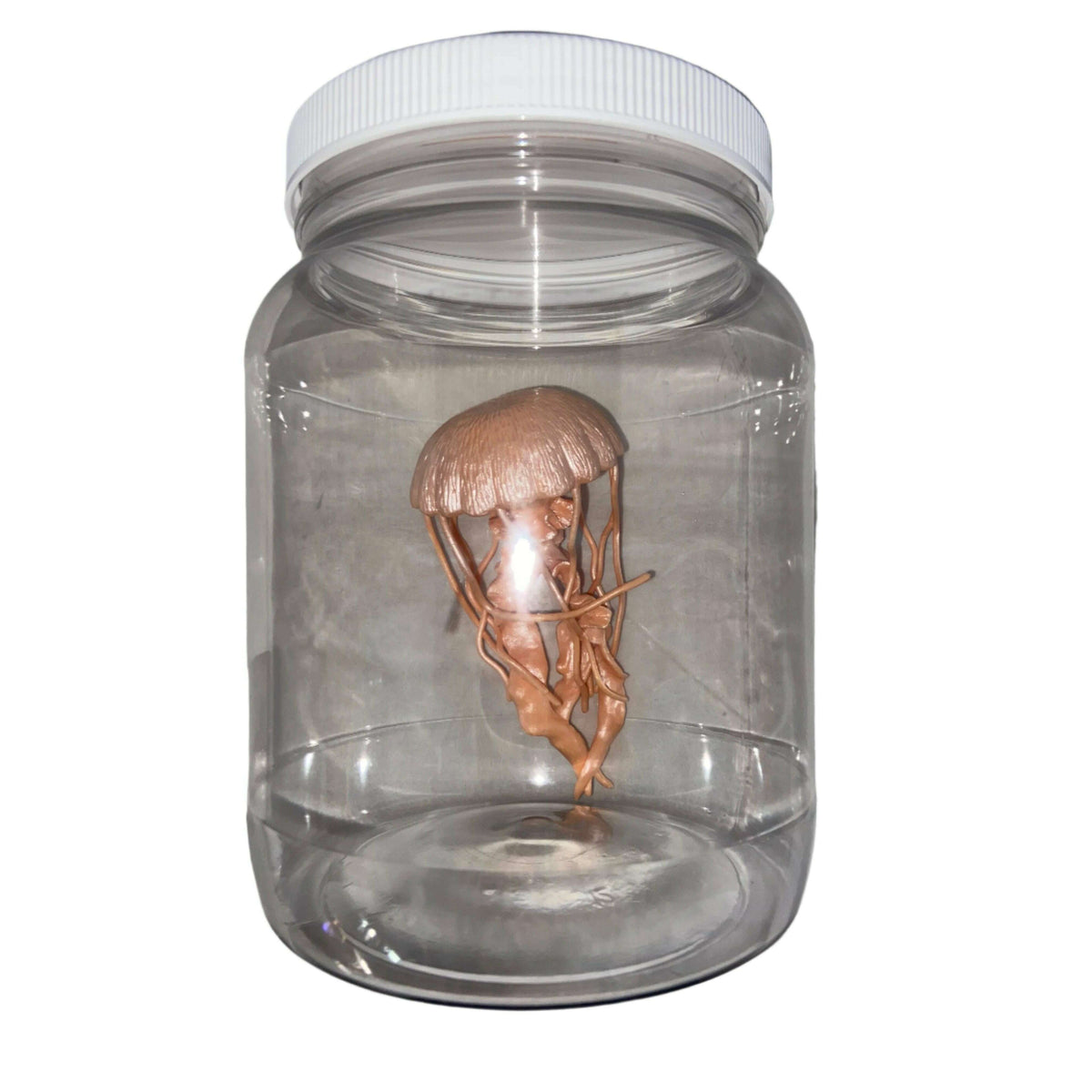 Jellyfish Specimen Jar