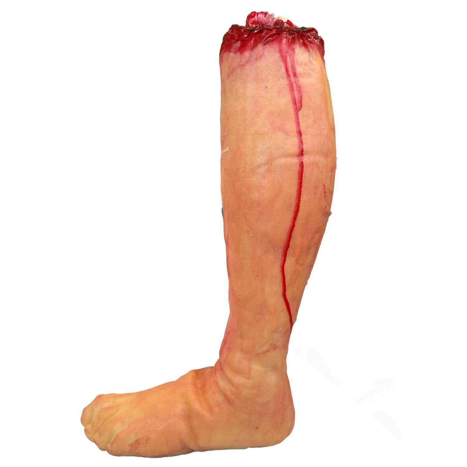 Knee High Severed Leg