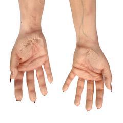 Realistic Bloody Cut Off Female Arms Pair