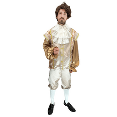 Medieval Rose Gold Men's Costume