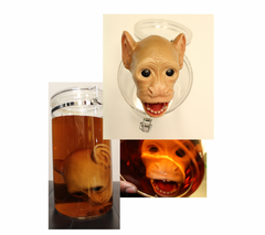 Monkey Specimen