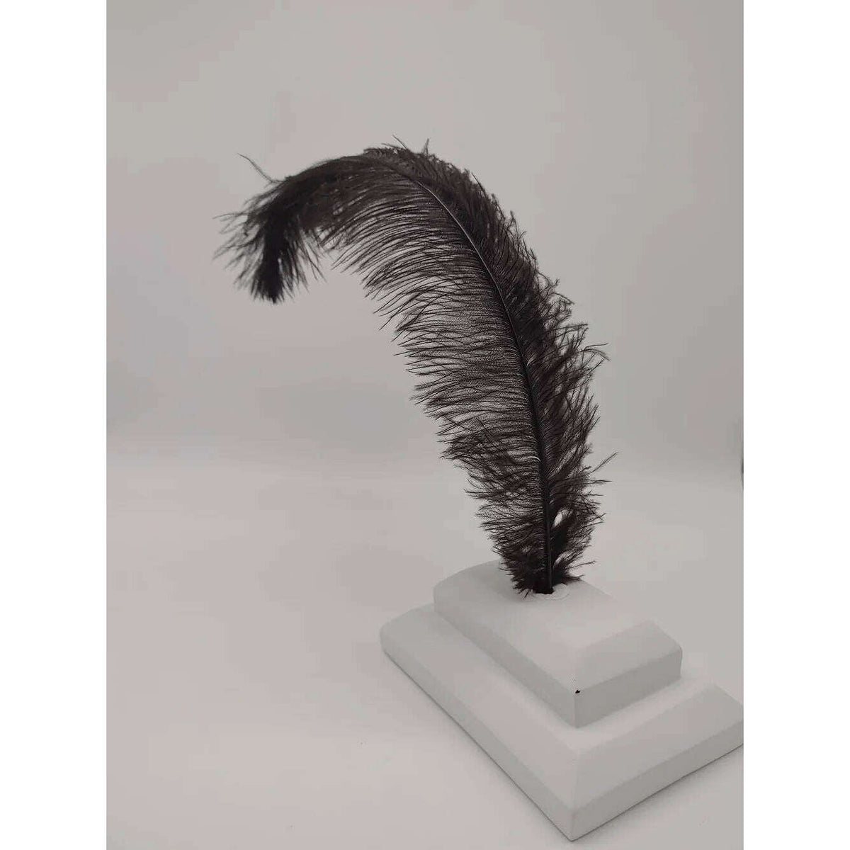 Ostrich Floss Feather 14-17"