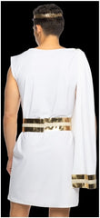 Gilded Greek God Men's Sexy Costume