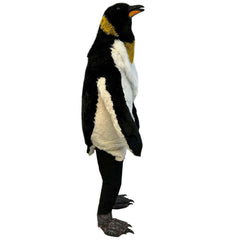 Penguin Mascot