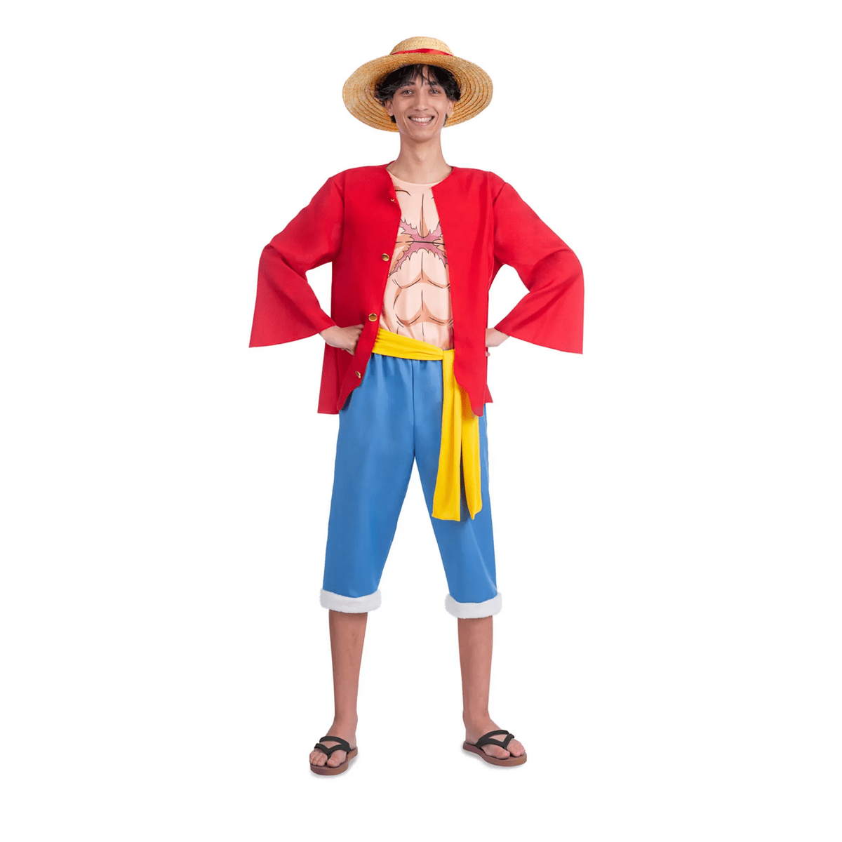 Pirate King's Gear: One Piece Luffy Adult Costume