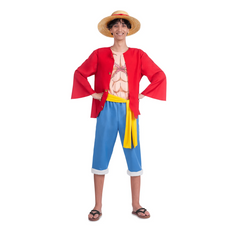 Pirate King's Gear: One Piece Luffy Adult Costume