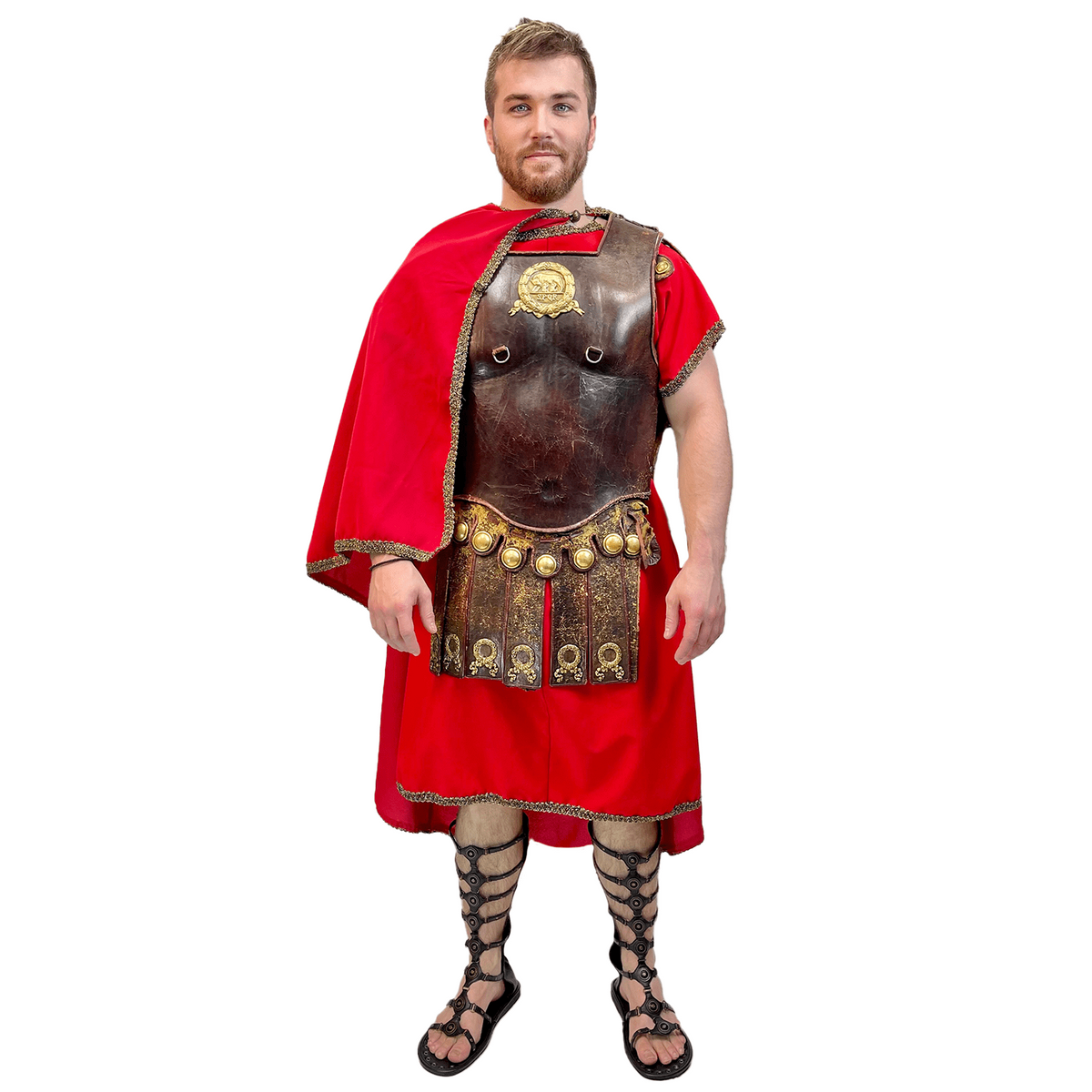 Premium Bear Gladiator Adult Costume