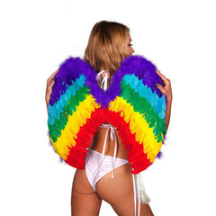 Rainbow Feathered Wings