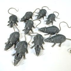 Bag of 10 Mice