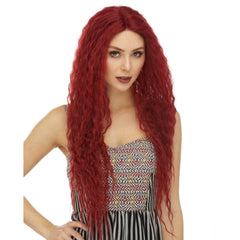 Raven Lace Front Wig