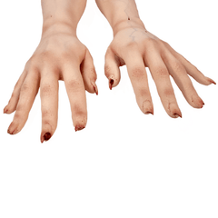 Realistic Bloody Cut Off Female Arms Pair