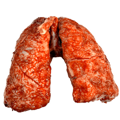 Realistic Bloody Lungs High End Urethane Prop