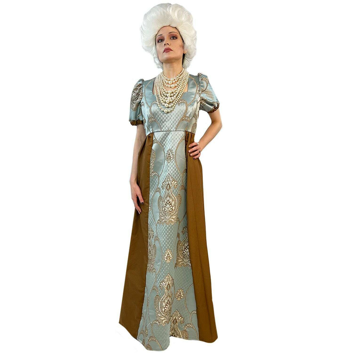 Regency Blue & Brown Women's Dress Adult Costume