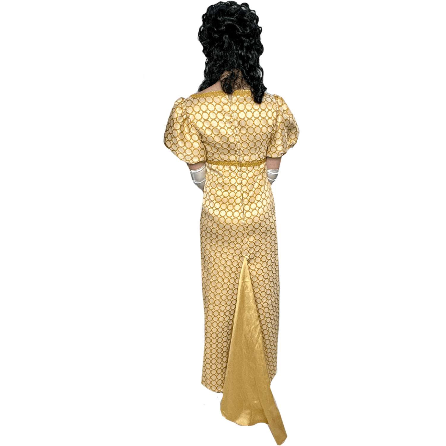 Regency Gold Circle Pattern Empire Dress Adult Costume Rent / Large / Gold Regency Gold Circle Pattern Empire Dress Adult Costume Rent / Large / Gold