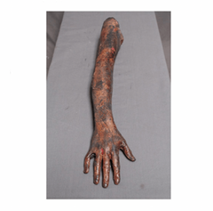 Roasted Female Arm